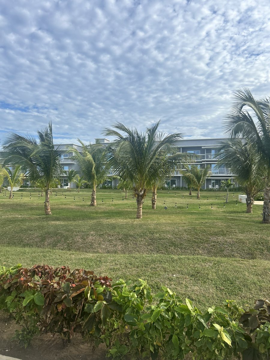 swiftosaturn's tweet image. hellooo i’m on vacay