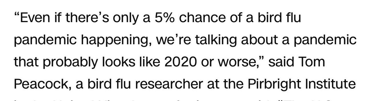 𝚓𝚒𝚖𝚖𝚢 tweet media