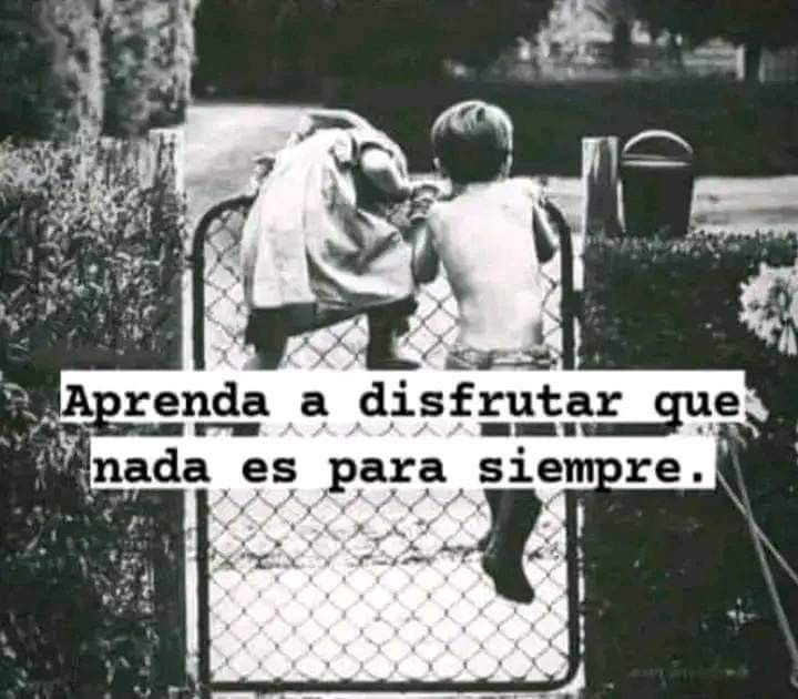 bautista (@bautiguenzani) on Twitter photo 