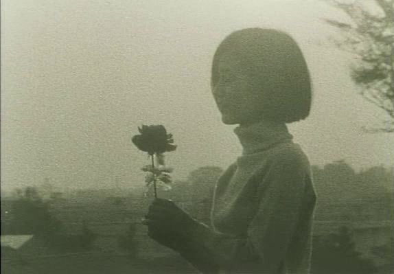 Muazzam bir zekâya, ansiklopedik bilgiye sahip olabilirsiniz; fakat içinizde derin ve güçlü duyguların coşkusu yoksa, kavrayışınız da kokusu olmayan bir çiçek gibidir.

— Jiddu Krishnamurti