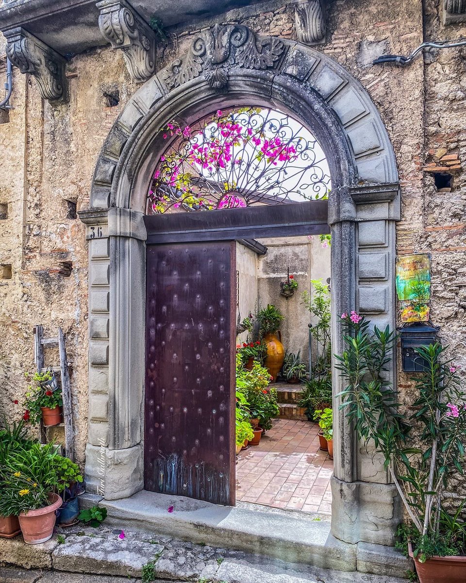 Turi Galbraith tweet media