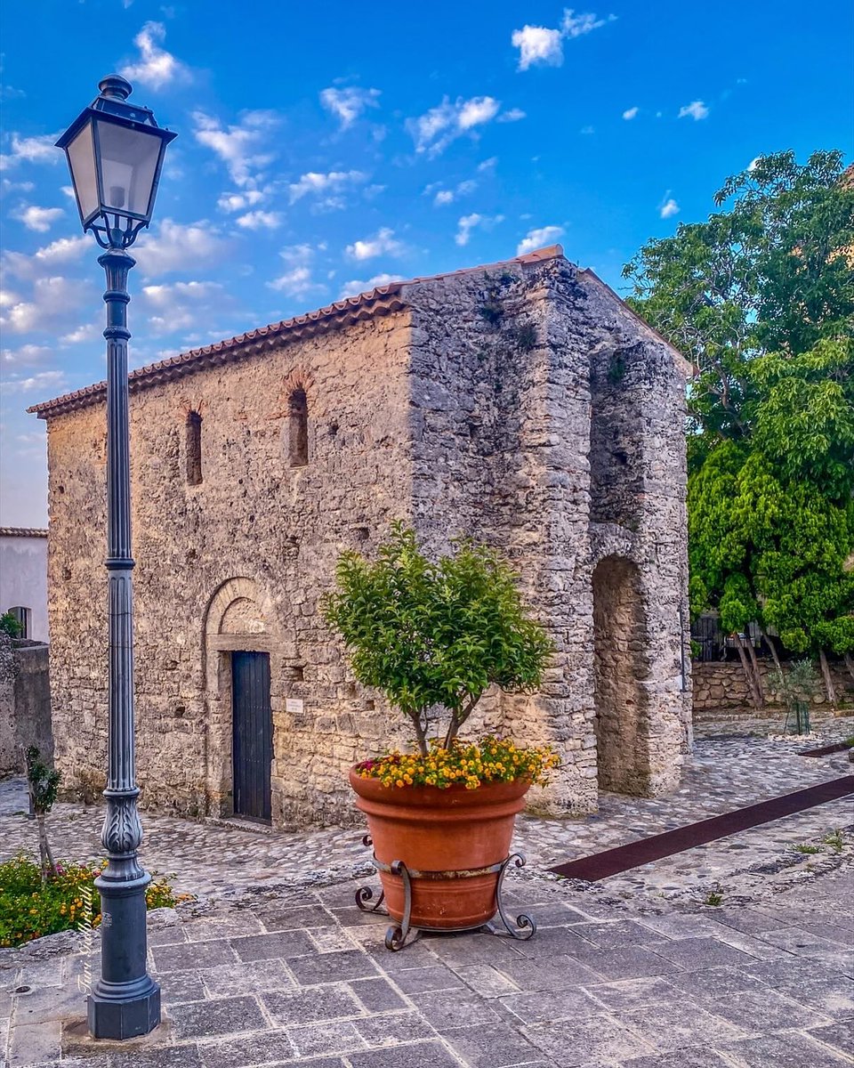 Turi Galbraith tweet media