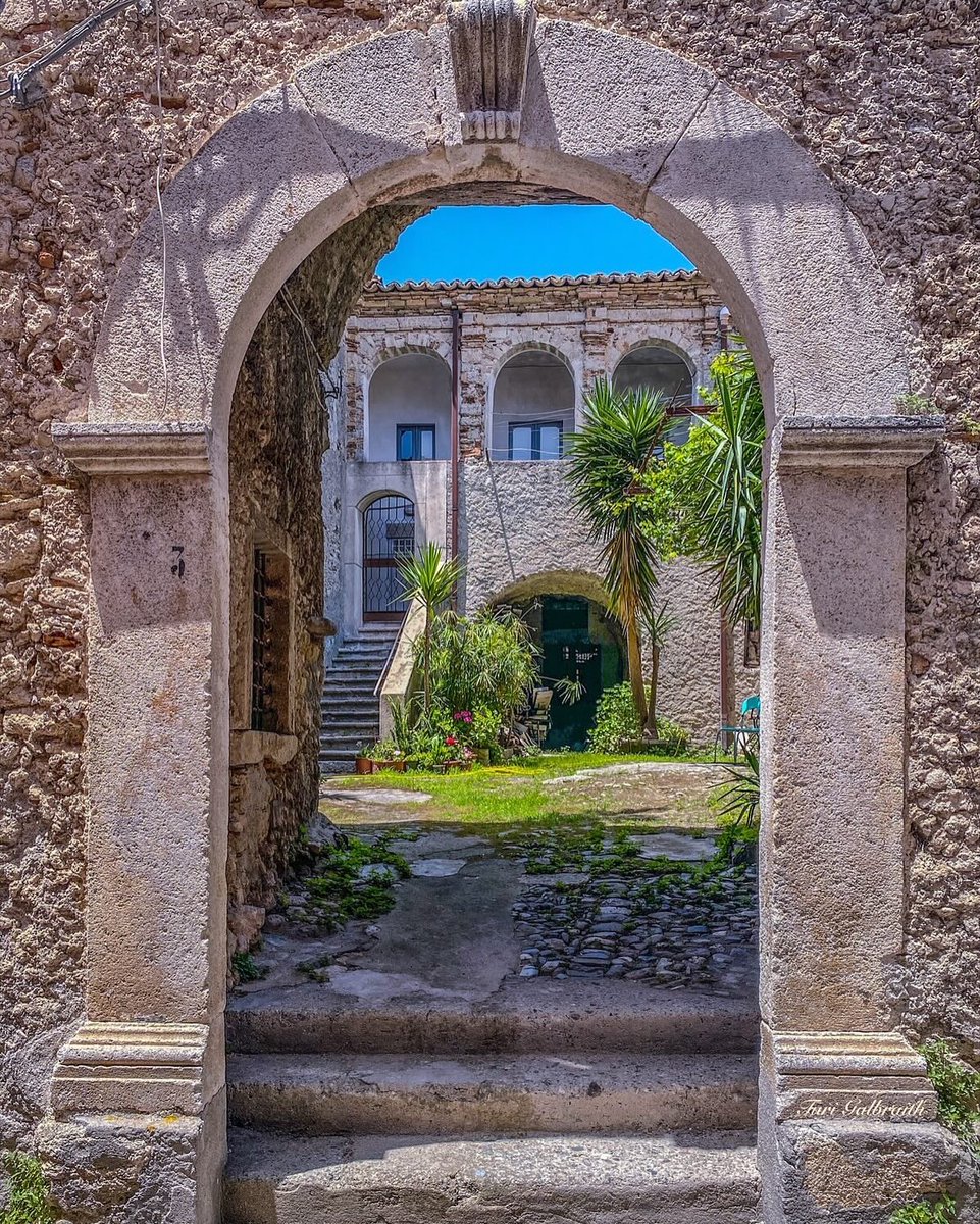 Turi Galbraith tweet media