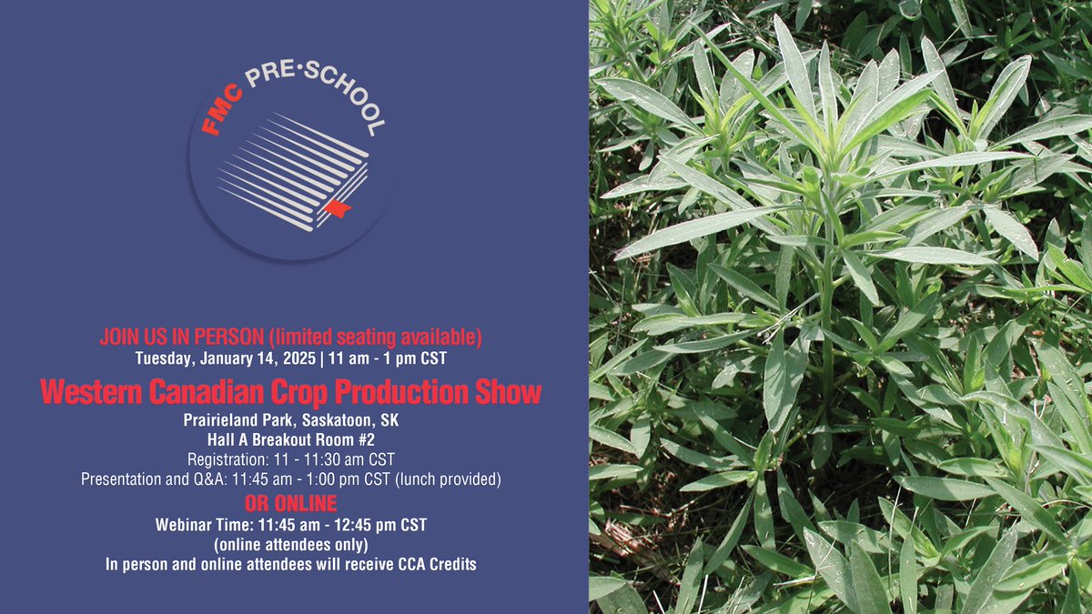 FMCAgCanada's tweet photo. Participate in-person at #WCCPS or online for FMC Pre-School's event on Jan 14, where Joe Ikley will share strategies for managing kochia. Earn CCA credits and register today! https://t.co/zm6yZYqND4 #WestCdnAg @realagriculture https://t.co/UHTXvfJ88L