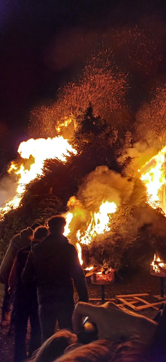 Jolwin D🎲bbelsteen tweet media