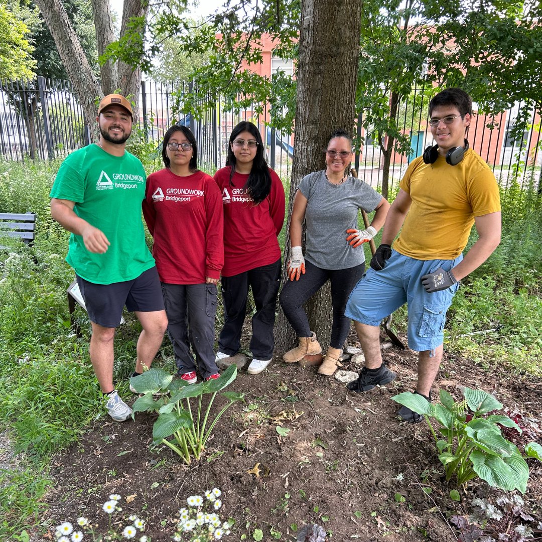 Groundwork Bridgeport tweet media