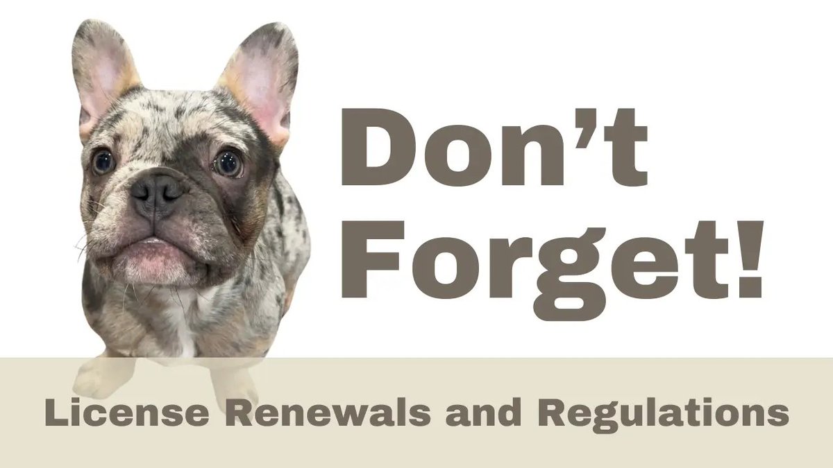 #ArlingtonMA don’t forget to register your dog! The law requires all dogs six months old or over to be licensed in Arlington annually as of January 1st. arlingtonma.gov/dogs
