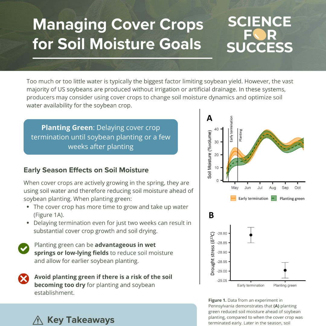Water is the biggest factor in soybean yields—but most U.S. soybeans grow without irrigation. Could cover crops help balance soil moisture and boost production? 

Read the fact sheet: bugwoodcloud.org/resource/files…
