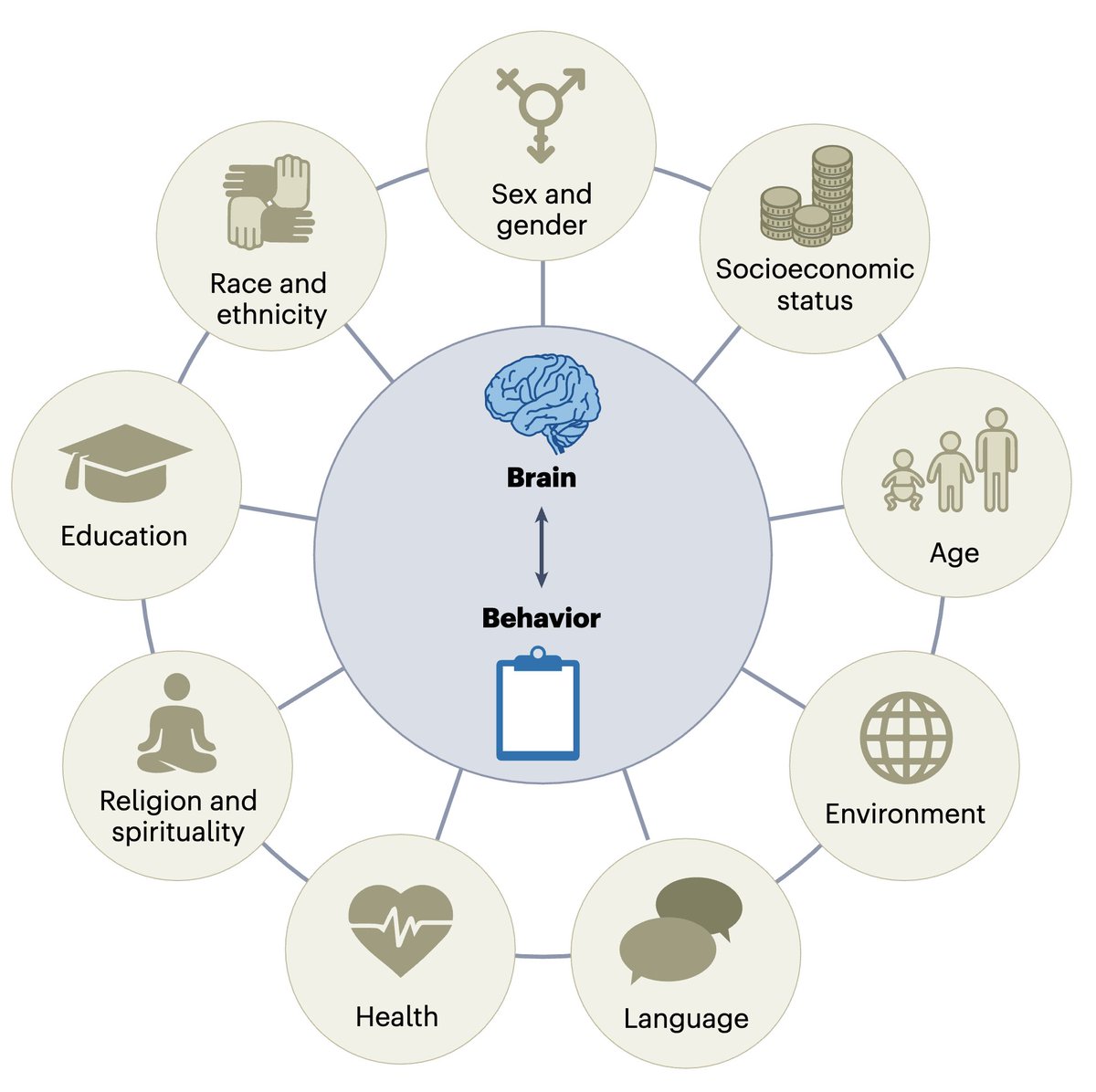 Elvisha Dhamala (@elvisha9) on Twitter photo Thrilled to share our latest work on the importance of considering social identities in brain imaging research, now out in <a href="/NatureNeuro/">Nature Neuroscience</a>.
rdcu.be/d4XWM Thrilled to share our latest work on the importance of considering social identities in brain imaging research, now out in <a href="/NatureNeuro/">Nature Neuroscience</a>.
rdcu.be/d4XWM