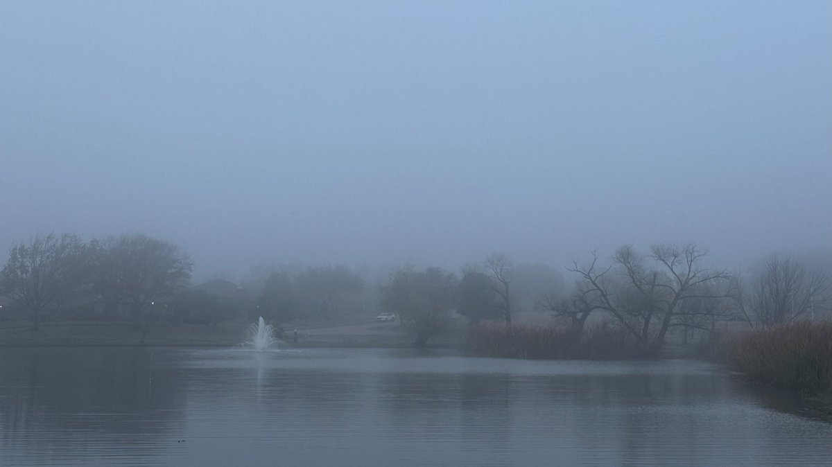 DEARGlGl's tweet photo. more foggy views on my walk today https://t.co/CzPKdad4CS