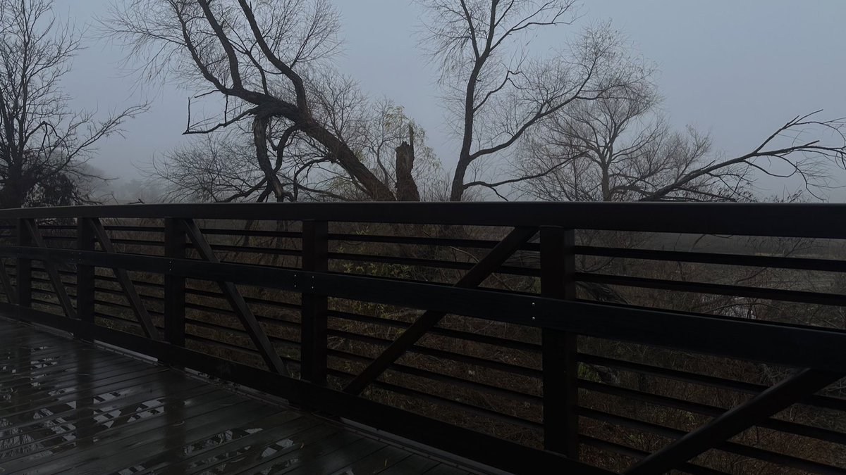 DEARGlGl's tweet photo. more foggy views on my walk today https://t.co/CzPKdad4CS
