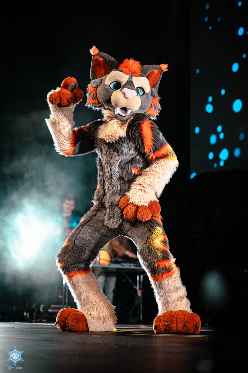 It is the last #FursuitFriday of the year so let's go out with a bang 😺🕺

📷<a href="/leggyyyyyyy/">Maiao ⏚</a>