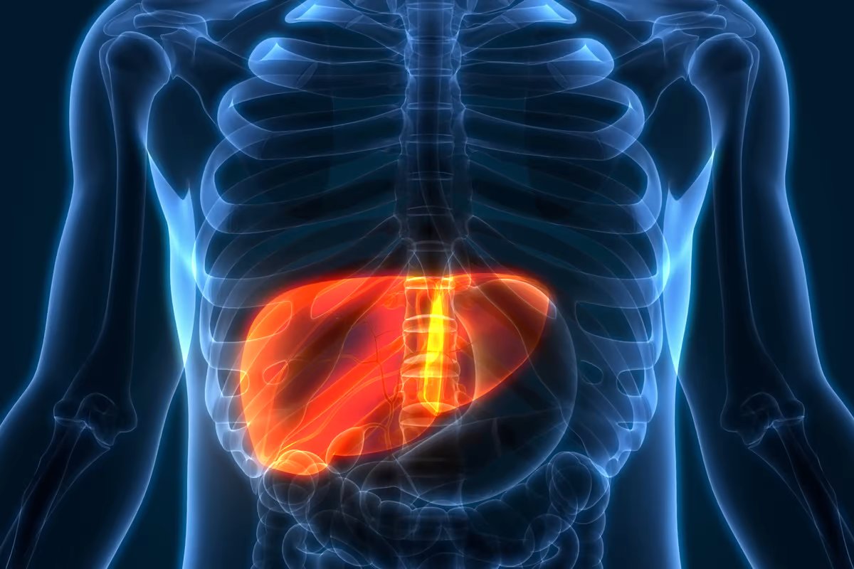 Your liver does it all.

It’s the:

• Detox factory
• Energy generator
• Fat burning engine

Your body depends on.

But most people don’t take care of it until it’s too late.

Here are 7 simple foods to heal your liver (&amp; transform your health):