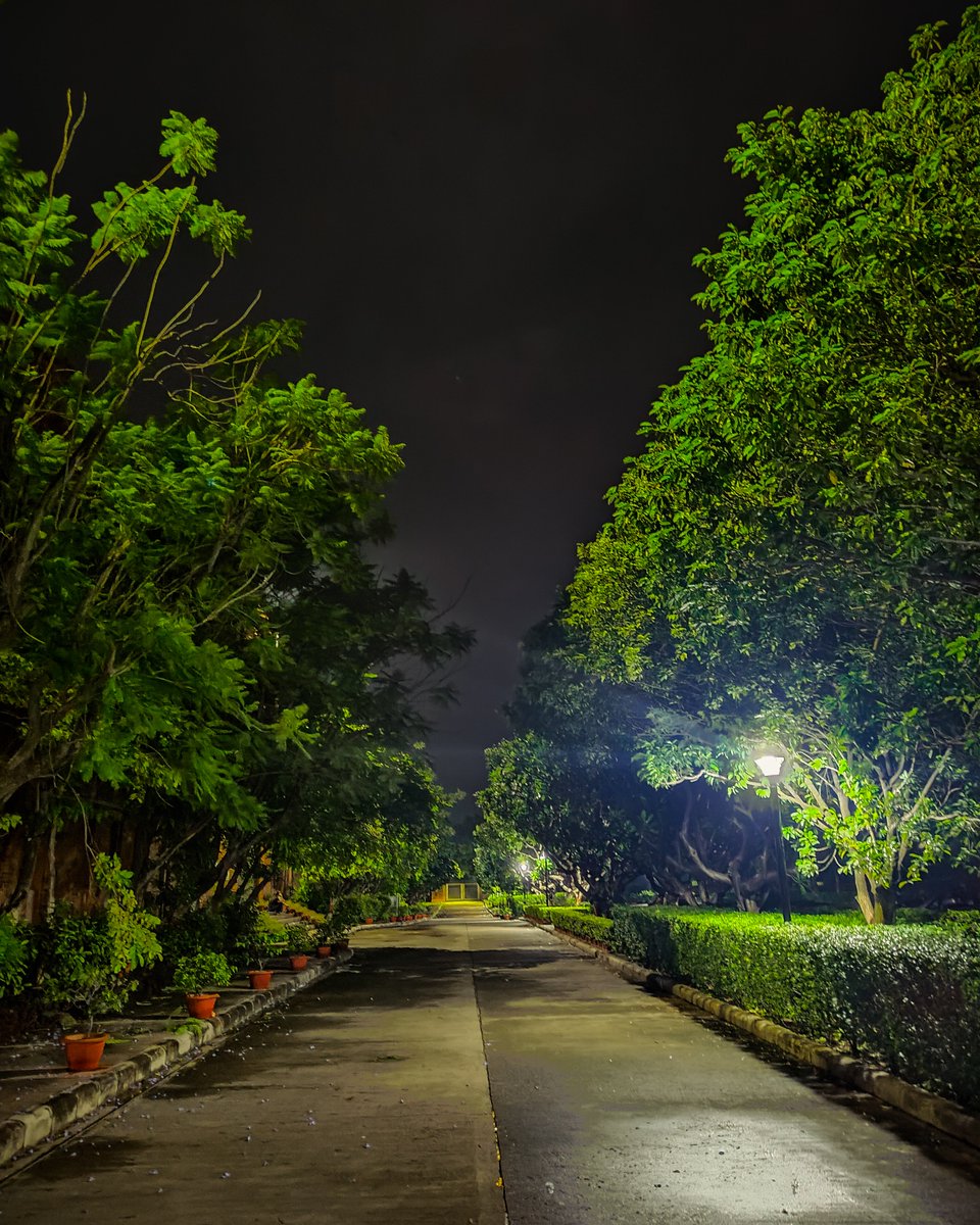 IMT_Nagpur's tweet photo. Under the peaceful night sky, #IMTNagpur becomes a canvas for aspirations and dreams. The illuminated pathways, lined with greenery, provide the perfect backdrop for student managers to reflect on their journey and plan their next steps.
#MakeTheFirstMoveAtIMTN #Bschools2025 https://t.co/IwymhHXn3O