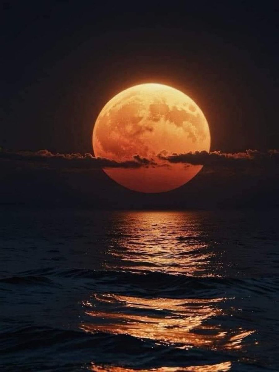 MOON LOVER (@m1onlover) on Twitter photo 