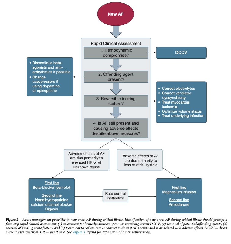 Mohan Sai Gudela, DM tweet media