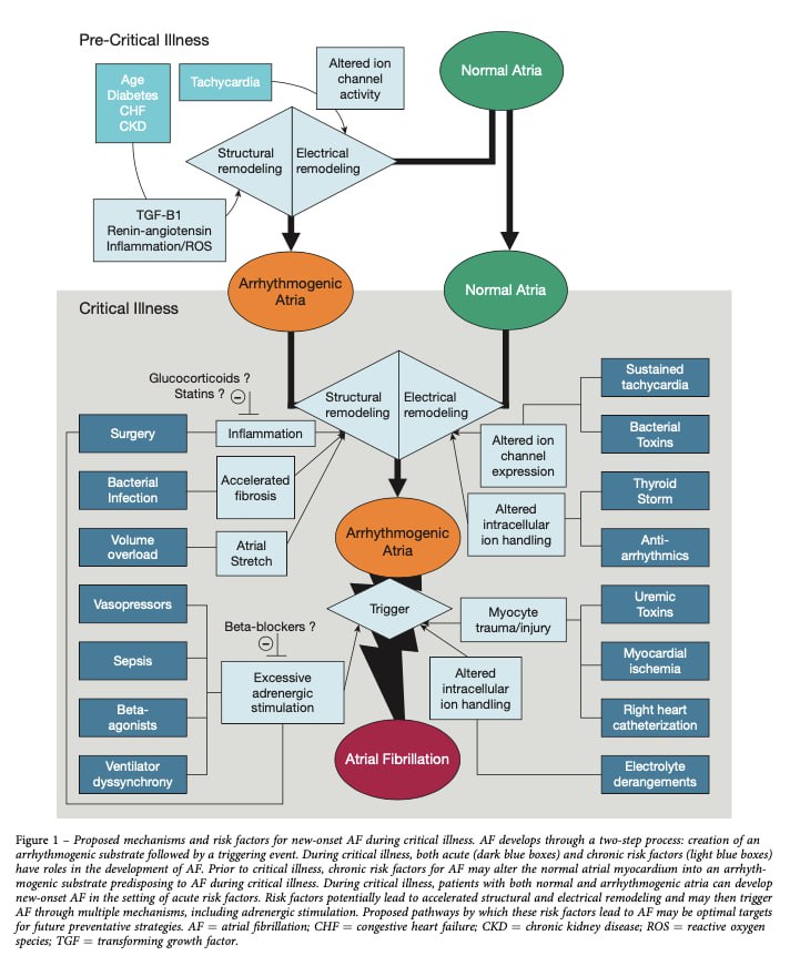 Mohan Sai Gudela, DM tweet media