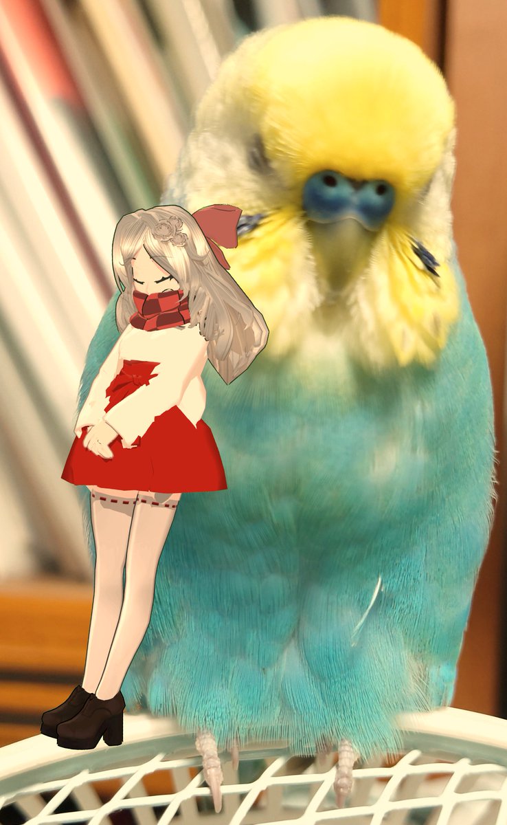 ヴァイン tweet media