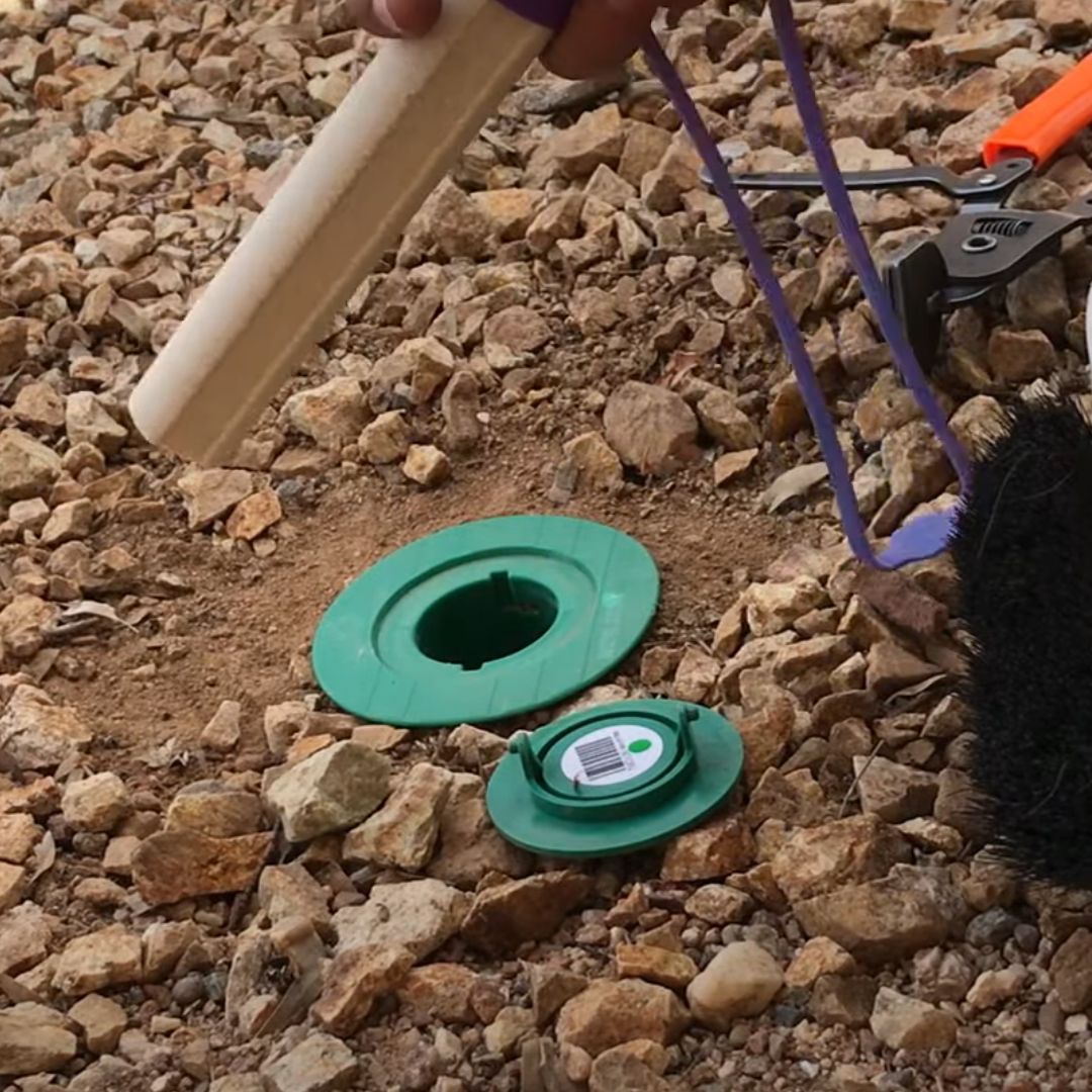 AZPest's tweet image. 🌵🔍 Say goodbye to unwanted guests with Sentricon Termite Protection by Arizona Pest Control! 🐜✨ Since 1947, we&apos;ve been your go-to solution for keeping Southern Arizona homes termite-free. 🎥🏡 #TermiteProtection #ArizonaStrong [Watch here: youtube.com/watch?v=XbO9Yl…]