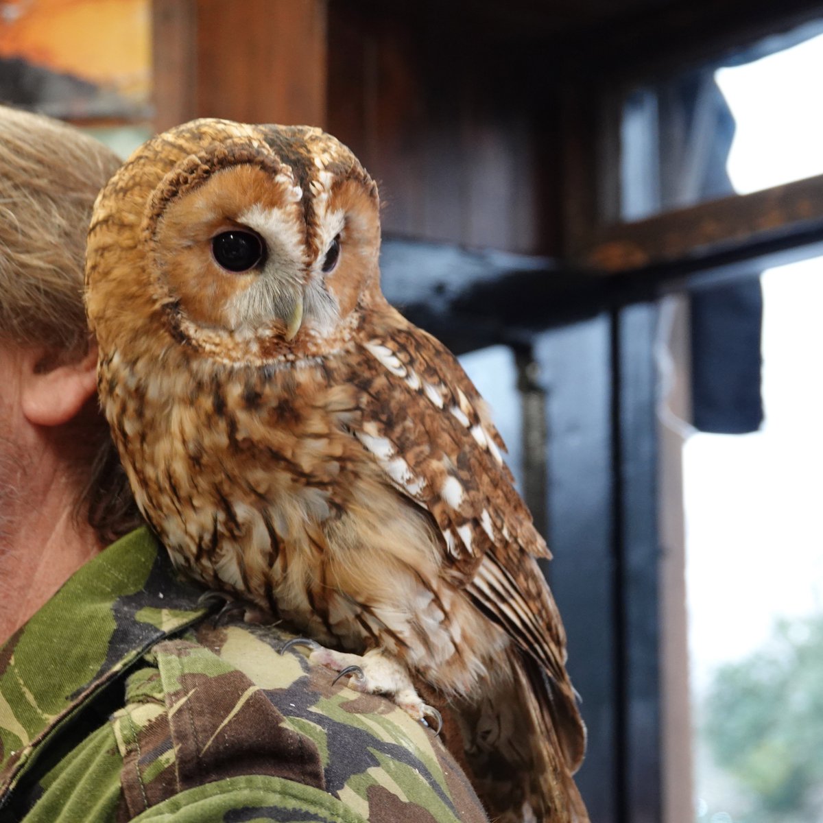 Sam Read Bookseller tweet media