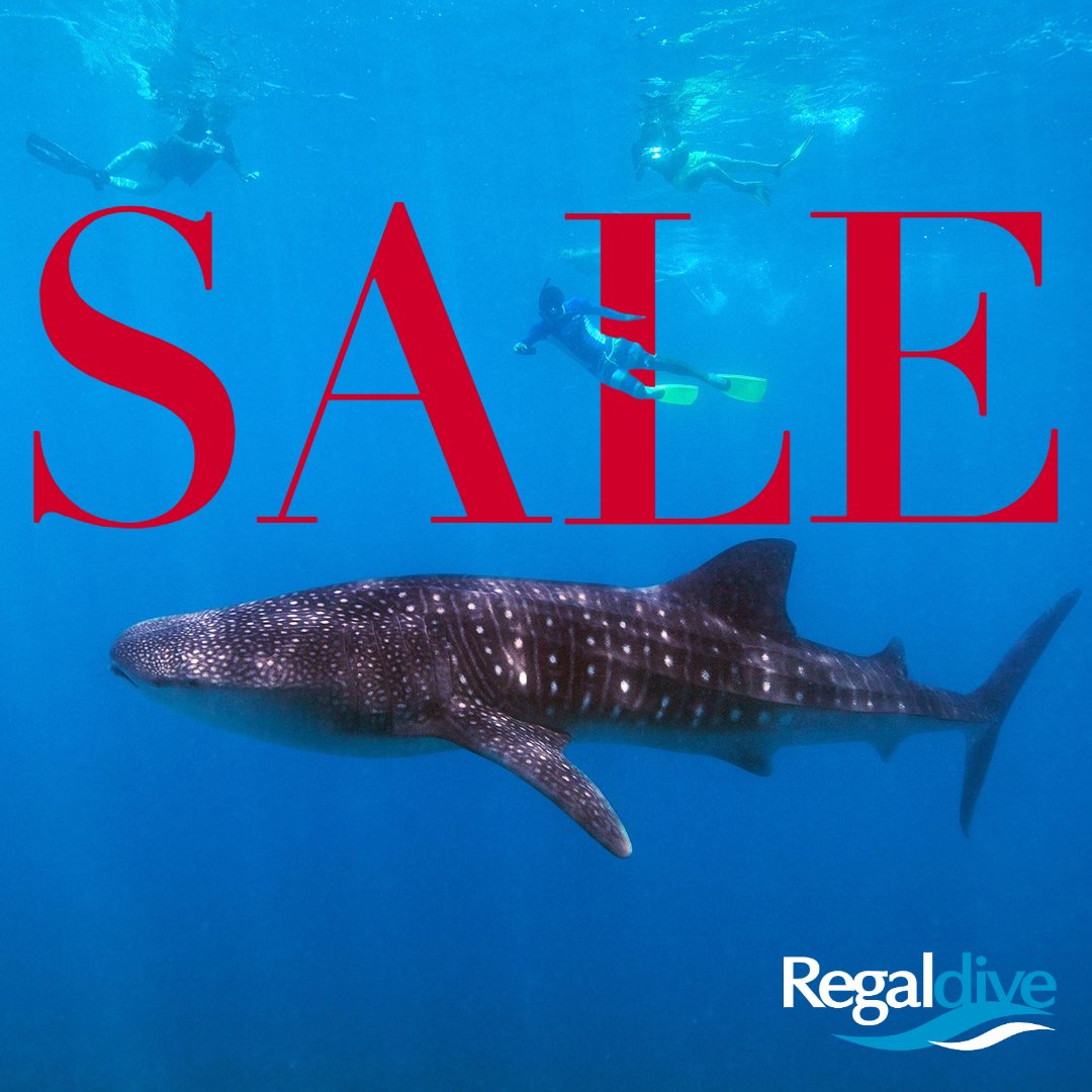 Did someone say SALE?

Take advantage of our Flash Sale, and benefit from a £150pp discount on your 2025 diving holiday! Hurry, must end midnight 24th Jan 2025!

Please quote RDJAN25 at the time of your enquiry! 

Visit our website to find out more - regal-diving.co.uk/blog/flash-sale