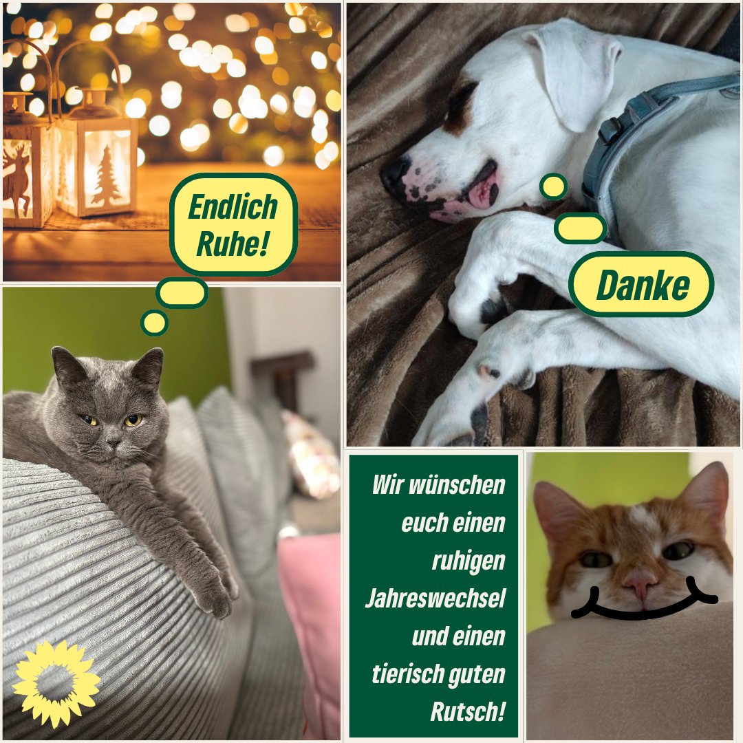 ❌️Unsere Tiere sind keine Fans von Feuerwerk – doch gemeinsam können wir das ändern.

✨ Feiern wir mit Rücksicht – für ein neues Jahr voller Freude und ohne Stress❗️

Was macht du, um deine Tiere an Silvester zu schützen?

#tierschutz #chemnitz #silvester
