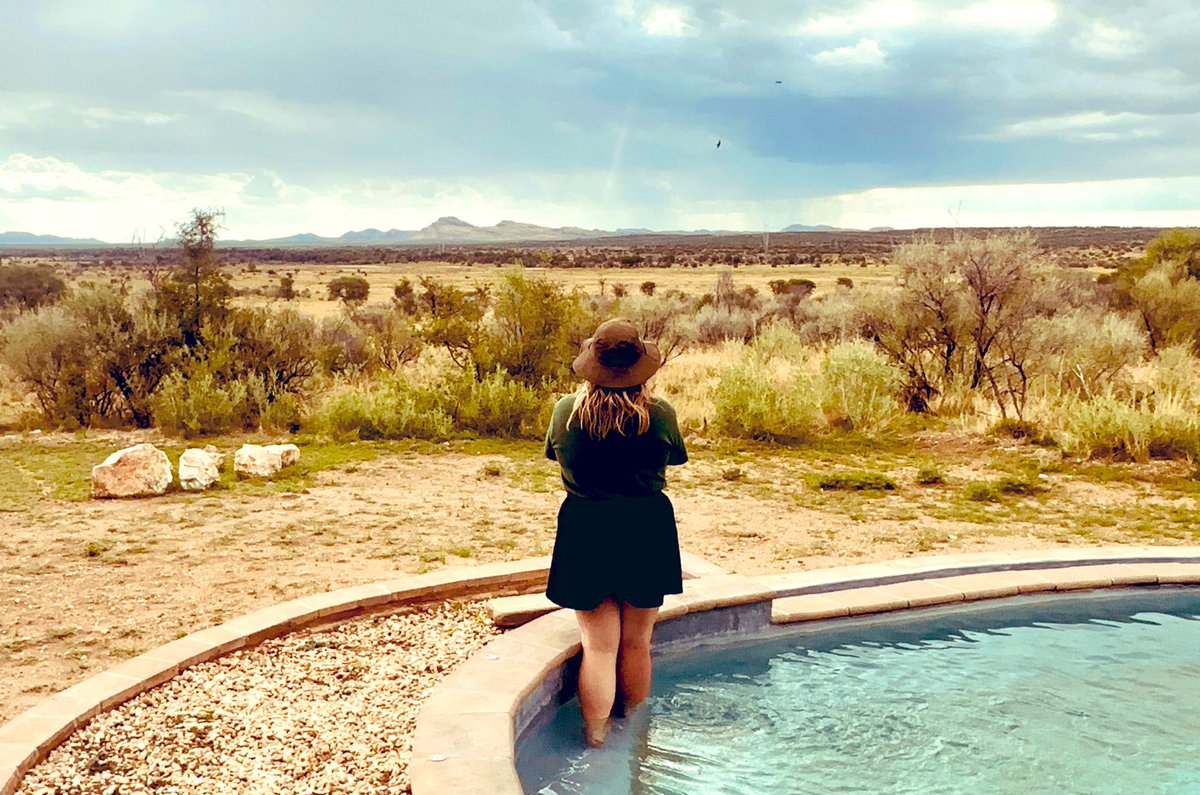 Sarah Cooper tweet media