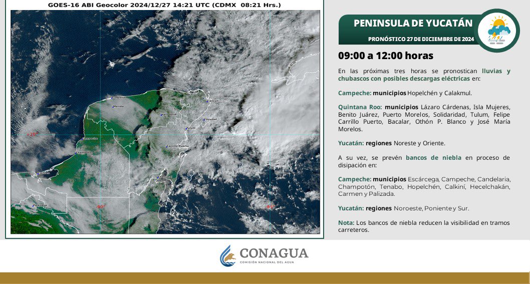 Mara Lezama tweet media