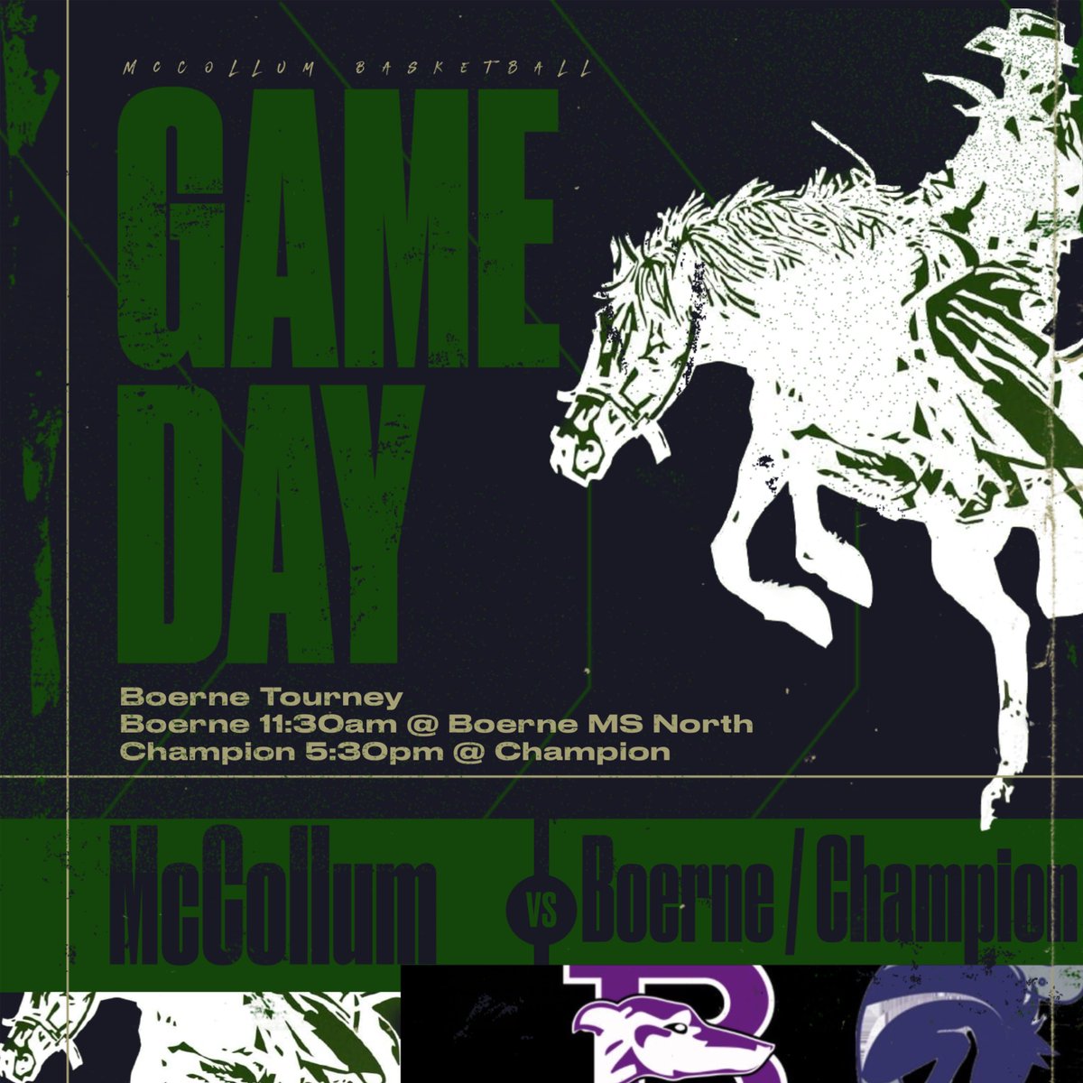 McCollumHoops tweet media