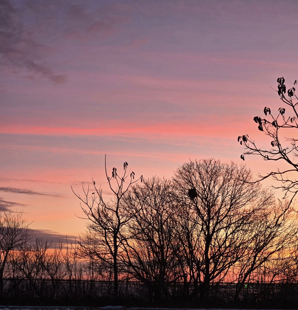 Lindakx947's tweet photo. Wow, Good Morning. #prettyviews
Chance of flurries today, high of 2.
Tomorrow there's a chance of showers with a high of 10!  Yes, 10 degrees. Whether you're working or playing, have a great Friday. https://t.co/JQVxUrkb4Y
