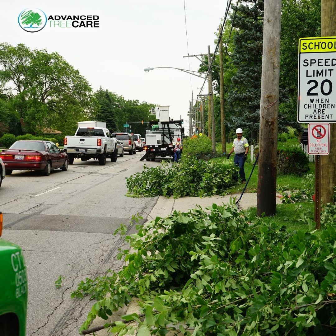 AdvancedTree1's tweet photo. We don’t just get the job done—we clean up after ourselves too! 

Our team works quickly and efficiently to leave your property spotless after every project.

Learn more here: https://t.co/LBVe3xhKqW

#AdvancedTreeCare #TreeCare #TopTreeCare #TreeService #TreeRemovalService https://t.co/V87bFlITGJ