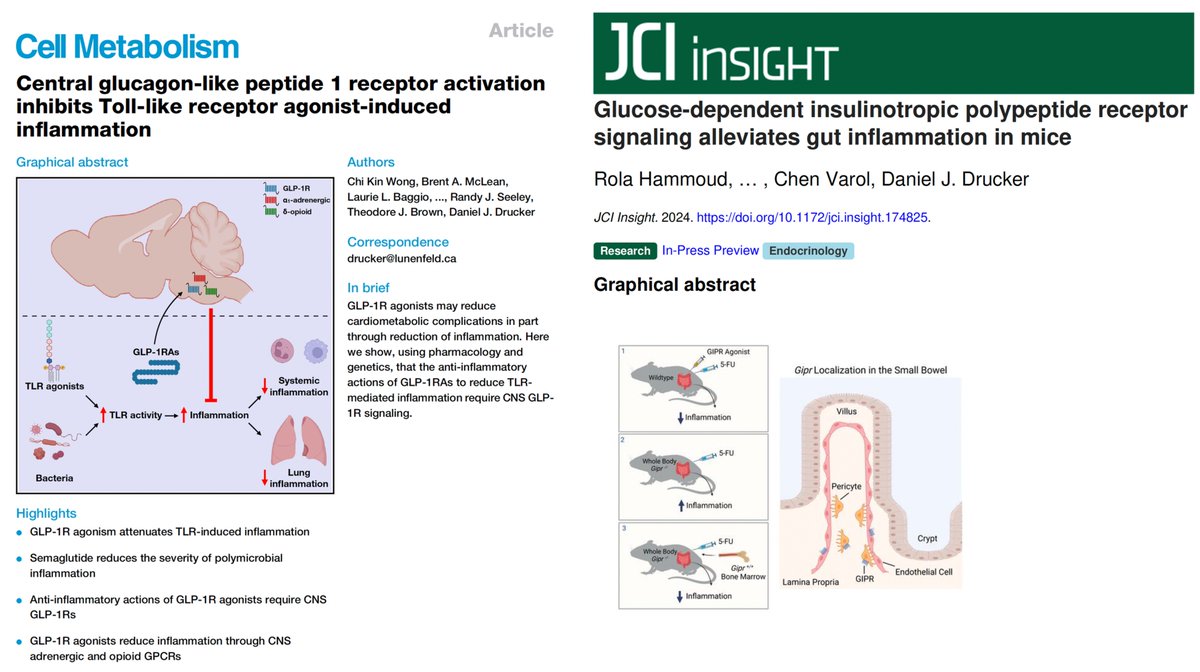 Eric Topol (@erictopol) on Twitter photo Two new studies zero in on the anti-inflammatory effects of the GLP-1 family of drugs, independent of weight loss, highlighting the gut-brain axis (modulating TLR response) and the gut GIP impact
by <a href="/DanielJDrucker/">Daniel J Drucker</a> and colleagues
cell.com/cell-metabolis… <a href="/Cell_Metabolism/">Cell Metabolism</a> Two new studies zero in on the anti-inflammatory effects of the GLP-1 family of drugs, independent of weight loss, highlighting the gut-brain axis (modulating TLR response) and the gut GIP impact
by <a href="/DanielJDrucker/">Daniel J Drucker</a> and colleagues
cell.com/cell-metabolis… <a href="/Cell_Metabolism/">Cell Metabolism</a>