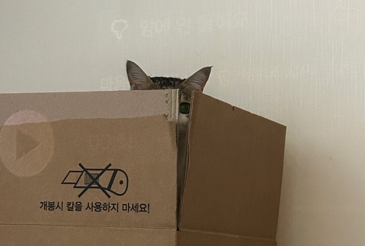 뚠뚠베베 tweet media