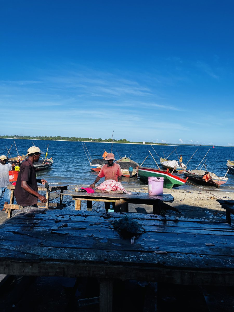SamakiOnline's tweet photo. #Ferry #Mtwara #Samaki https://t.co/xGEFoevKTN