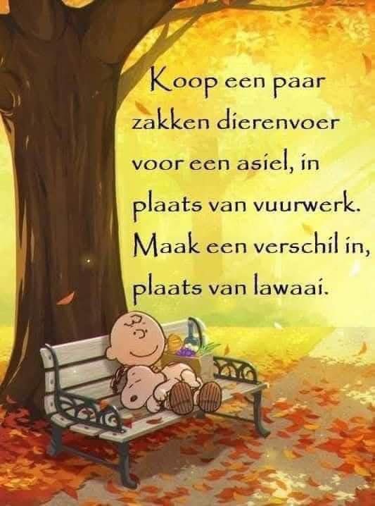 Marnix Bruinzeel (@marnixb) on Twitter photo 