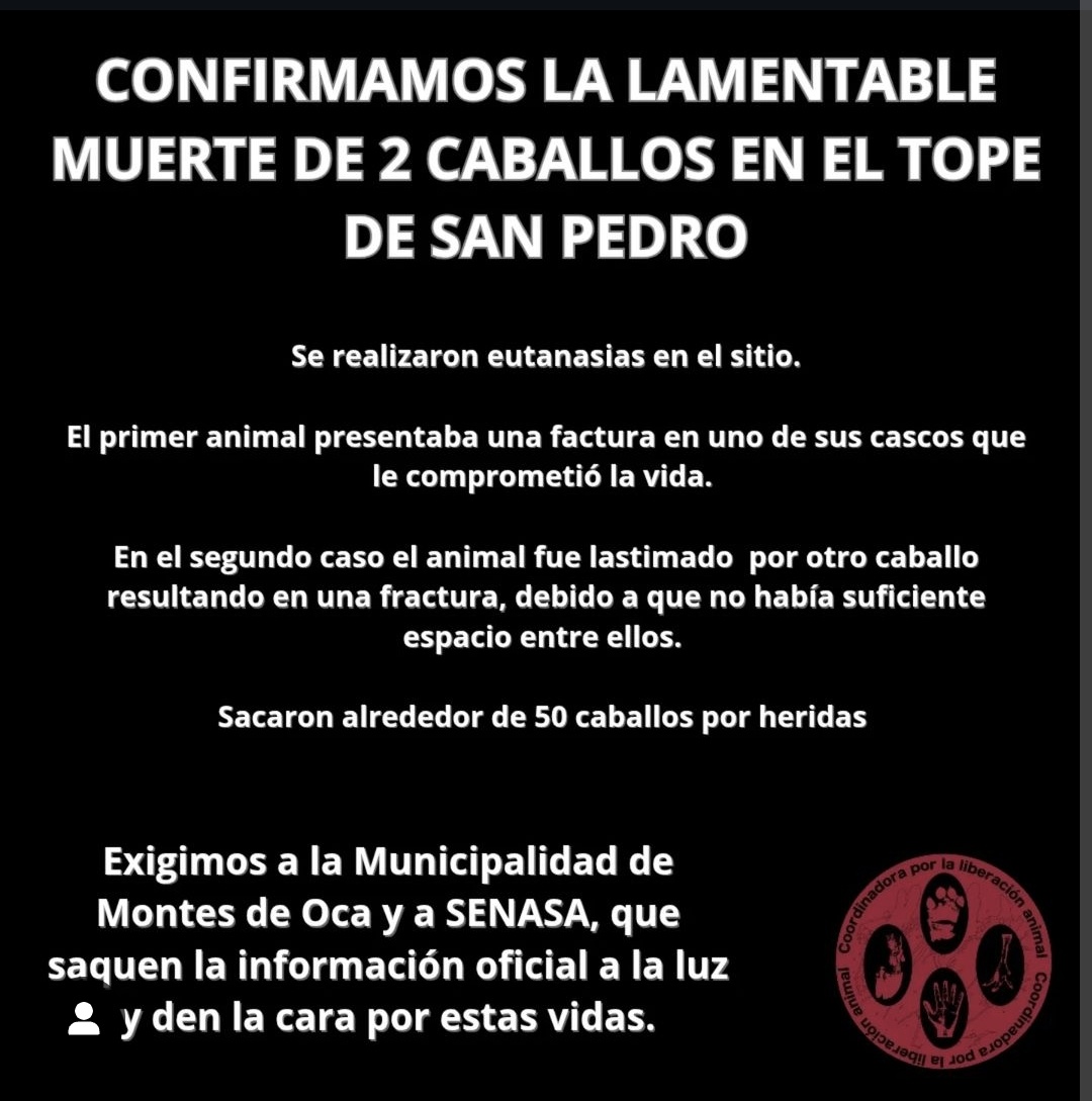 Arturo Pardo  tweet media