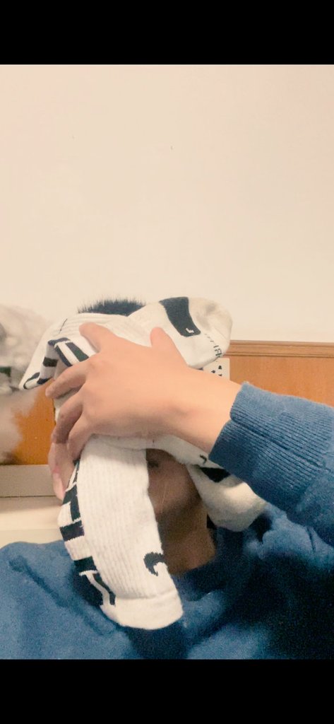 TIMOTHY13SS's tweet photo. 这奴��发这骚照片 真sb https://t.co/14xnwtCYA7