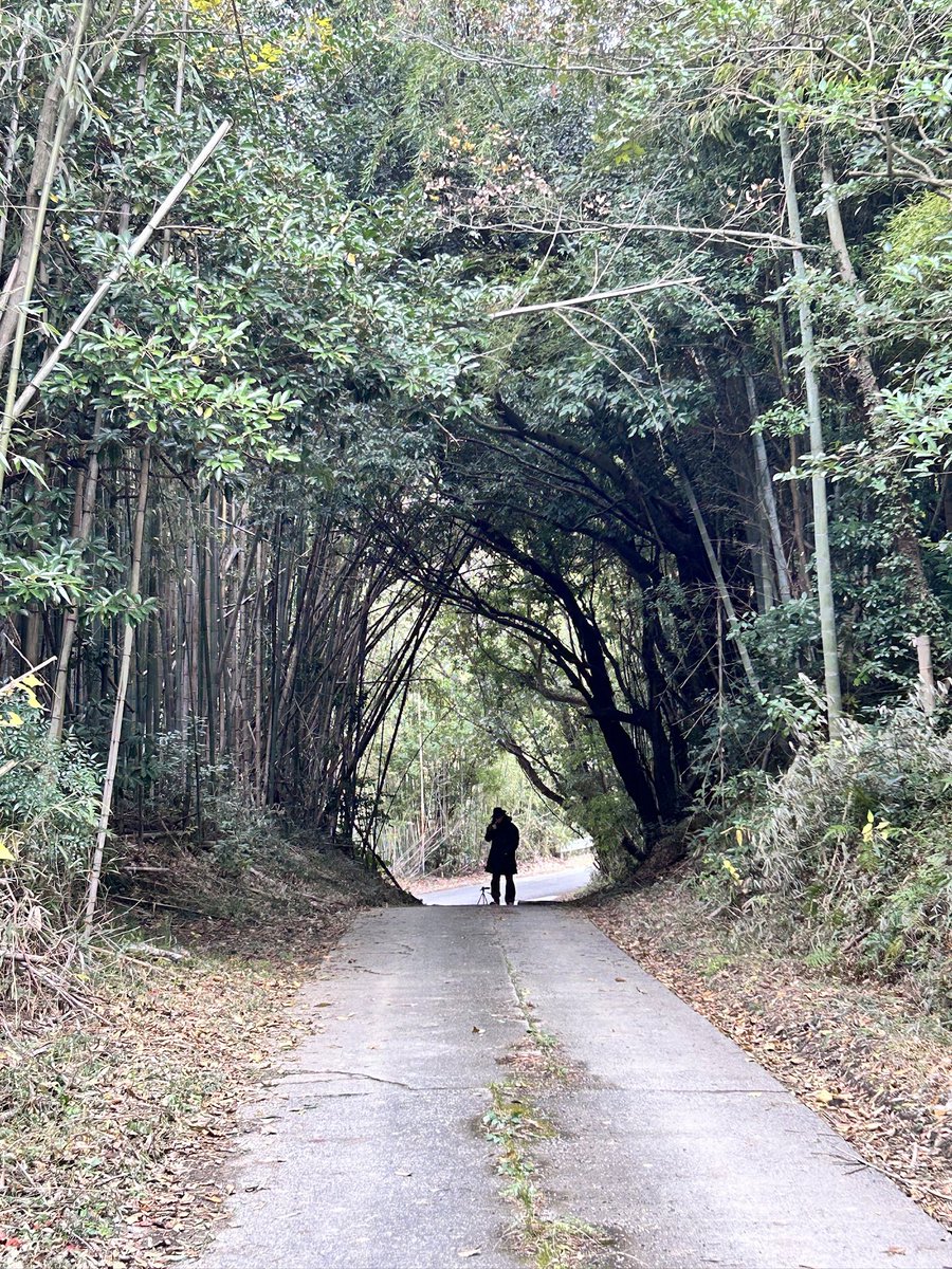 HATAKE_awaJ's tweet photo. 新曲リリース。

　「愛の理」 「swallow」
リリースされました!!!

HATAKE史上最大の「愛と自由」を歌った
楽曲となっております。

2024年のHATAKEを締める配信
各サブスクにて配信中です。
是非お聴きください!!!

#HATAKE
#愛の理
#swallow https://t.co/v4CrXZrTYL