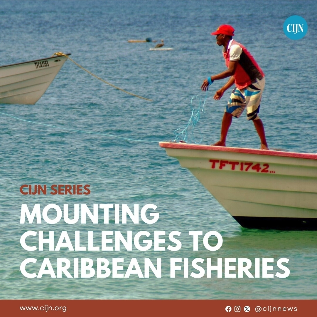 As we wrap up 2024, here are 5 of CIJN's Top Stories! Every story was important but these stood out. We salute all the journalists across our region who contributed to CIJN in 2024. Here’s our first Top Story on Caribbean Fisheries.
