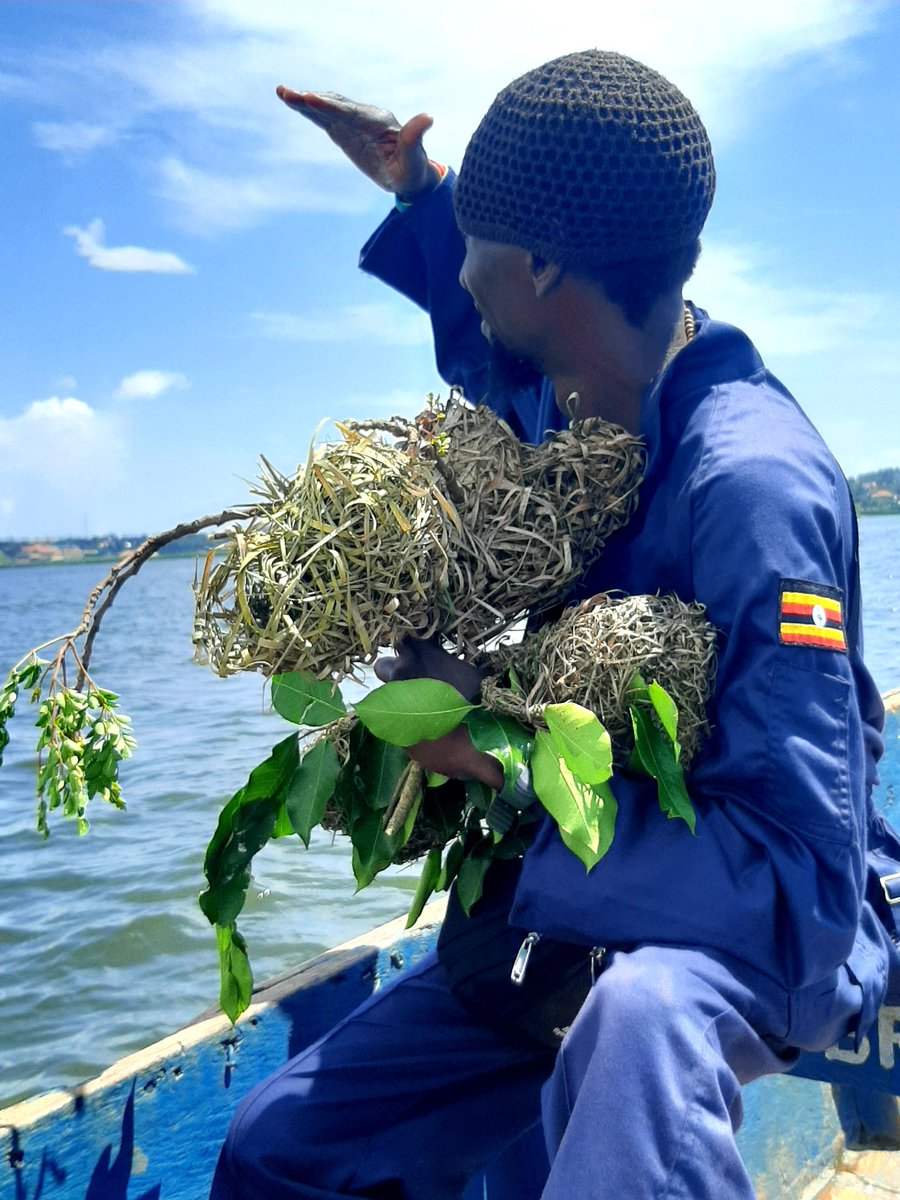 djbushbaby's tweet photo. Day we'll spent, saving endangered birds. When we preserve birds, we save ecosystems. Let’s spread our wings for them.
#Conservation
#Birding
#InTouchWithNature
#Revitalise 
#BussiIsland
⚠️  Don't try this at home without a life jacket. https://t.co/J2odAmah3d