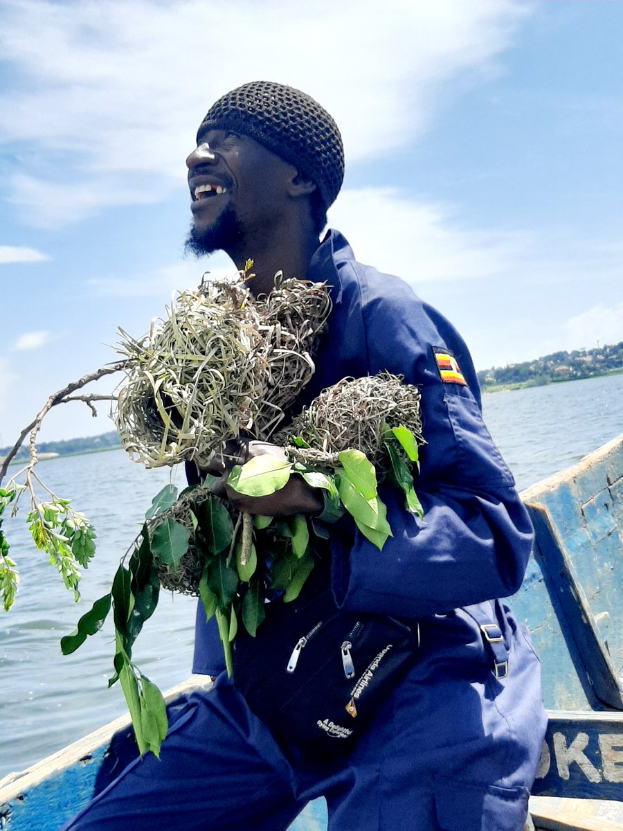 djbushbaby's tweet photo. Day we'll spent, saving endangered birds. When we preserve birds, we save ecosystems. Let’s spread our wings for them.
#Conservation
#Birding
#InTouchWithNature
#Revitalise 
#BussiIsland
⚠️  Don't try this at home without a life jacket. https://t.co/J2odAmah3d