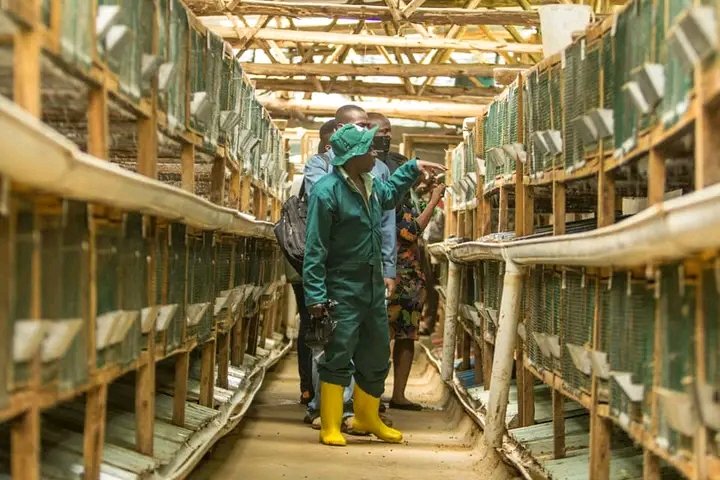 Akpem Chianenter Jeremiah tweet media