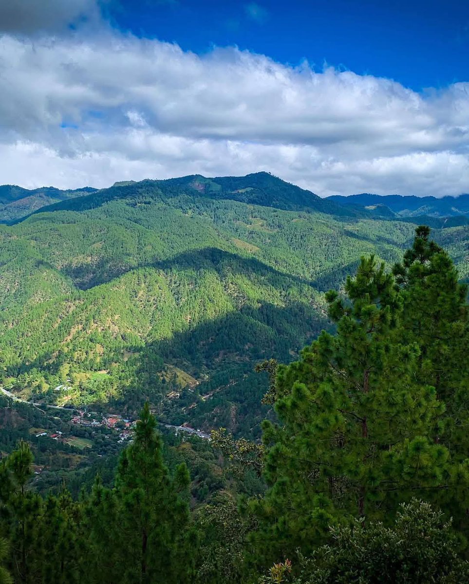 letsknownic's tweet photo. 📍CERRO COQUIMBA DIPILTO NUEVA SEGOVIA 🏔️🥾

“Descubre la esencia del turismo natural: conecta con paisajes únicos, respira aire puro y vive la tranquilidad que solo la naturaleza puede ofrecer.” 🌲🌳🍃
#27deDiciembre 
#ConozcamosNicaragua https://t.co/5WFUKCg6CD