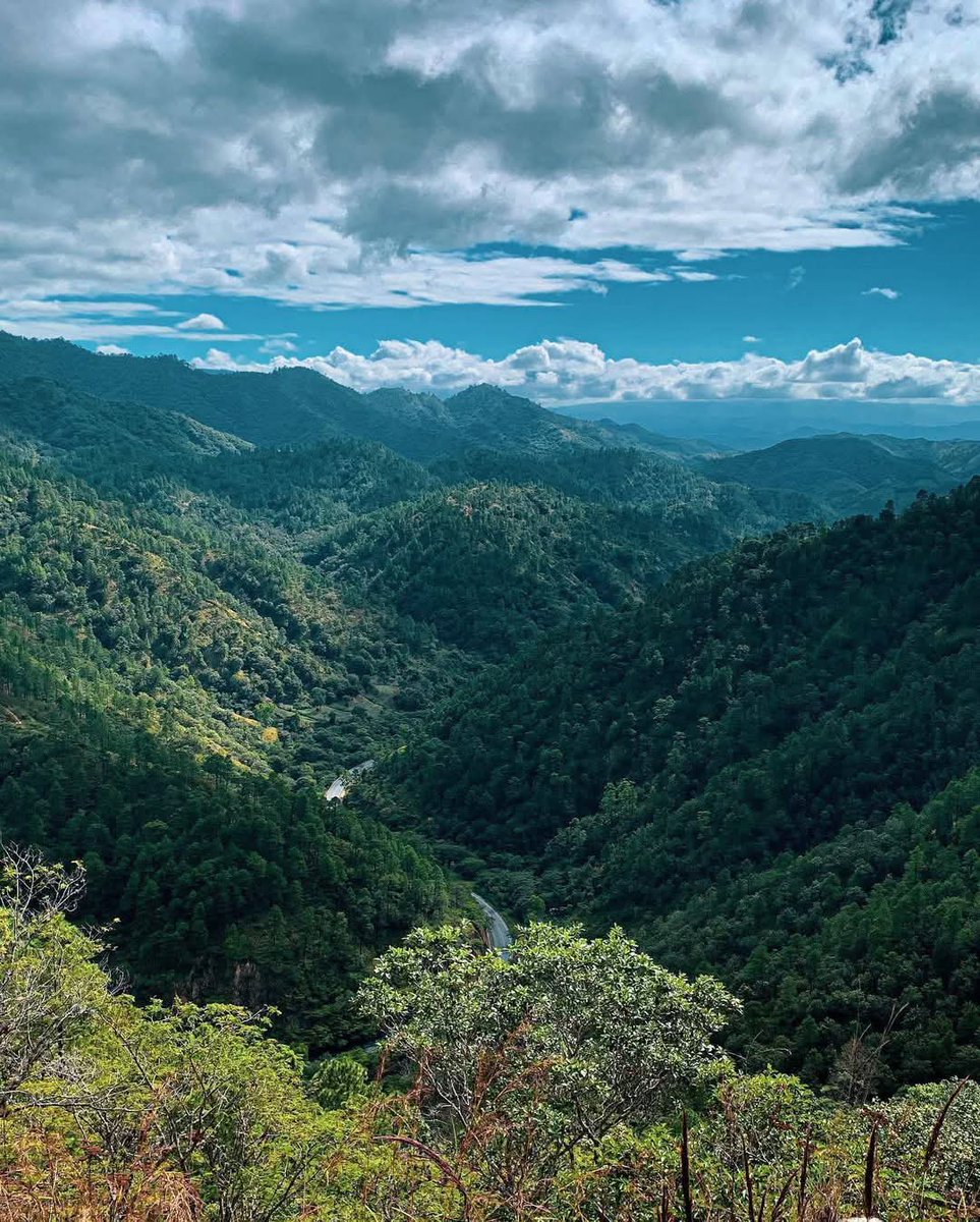 letsknownic's tweet photo. 📍CERRO COQUIMBA DIPILTO NUEVA SEGOVIA 🏔️🥾

“Descubre la esencia del turismo natural: conecta con paisajes únicos, respira aire puro y vive la tranquilidad que solo la naturaleza puede ofrecer.” 🌲🌳🍃
#27deDiciembre 
#ConozcamosNicaragua https://t.co/5WFUKCg6CD