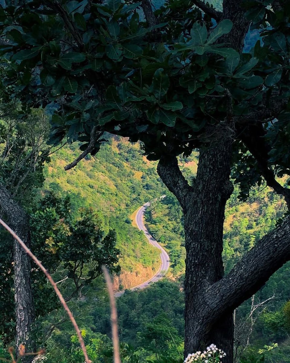 letsknownic's tweet photo. 📍CERRO COQUIMBA DIPILTO NUEVA SEGOVIA 🏔️🥾

“Descubre la esencia del turismo natural: conecta con paisajes únicos, respira aire puro y vive la tranquilidad que solo la naturaleza puede ofrecer.” 🌲🌳🍃
#27deDiciembre 
#ConozcamosNicaragua https://t.co/5WFUKCg6CD