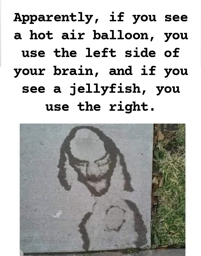 FarRight49's tweet image. 