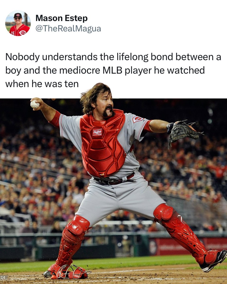 Reds Daily tweet media