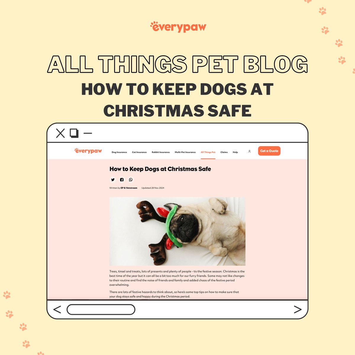 🎄🐶 Click the link below to discover how to make this holiday season safe for your furry friend:

everypaw.com/all-things-pet…

#DogSafety #PuppyCare #PetParenting #Everypaw #PetInsurance #EverypawUK