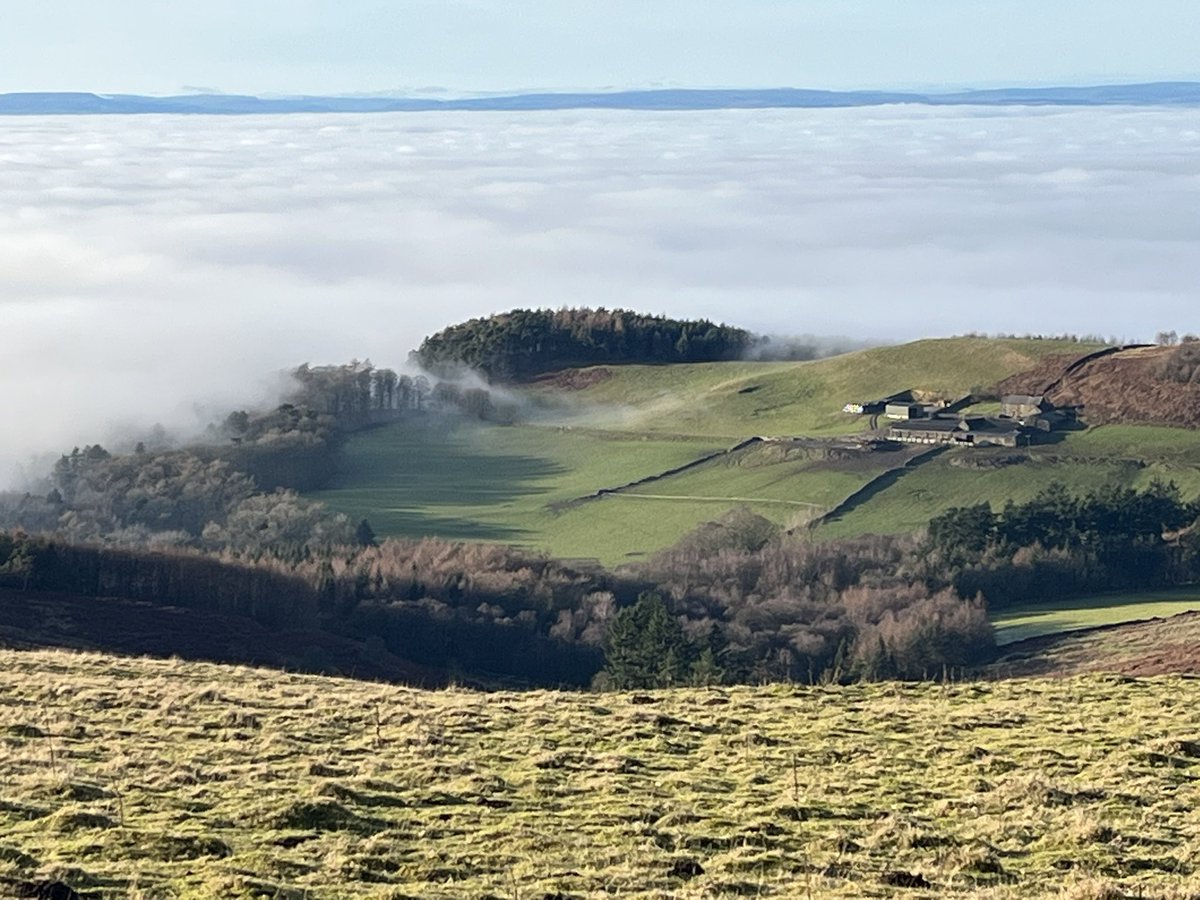 dannysavage's tweet image. The hills of the north delivered today. Great inversion on the North York Moors.