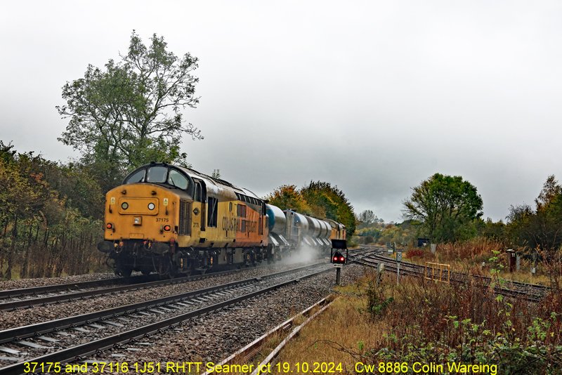 ColinWareing1's tweet photo. Colas locomotive no 37175 trails the rail head treatment train past Seamer junction near Scarborough in the rain on Saturday the 19.10.2024. #tractoraction #class37 #rhtt @networkrail @RailwayMagazine @RAIL https://t.co/V5TVw3vqNN
https://t.co/rHb04Bc0s8 https://t.co/qJymaAAAhs